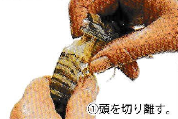①頭を切り離す。