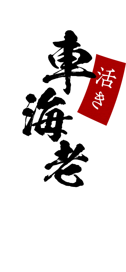 活き車海老