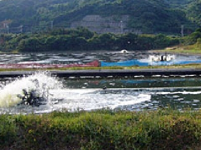 10月始めの水温は18度。