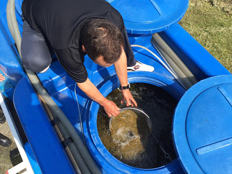 車海老養殖事業